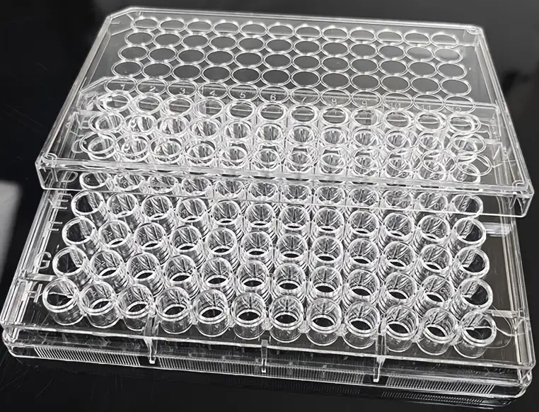 "New" (2 Pack) 96-Compartment Clear Medical Type Plastic Storage Box 19