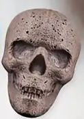 "New" 3D Skull Head Silicone Mold for Halloween Baking and Parties 17