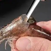 "New" Stainless Steel Shrimp Deveiner Tool 19
