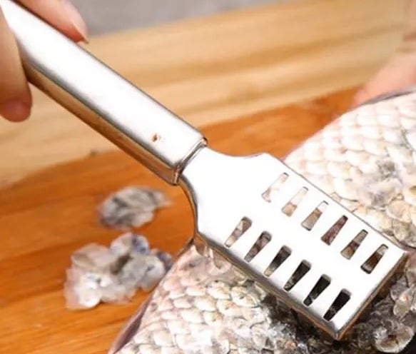 "New" Stainless Steel Fish Scale Remover 19