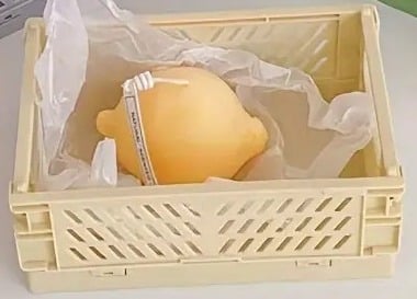 "New" Folding Storage Box with Hollow Decoration 13