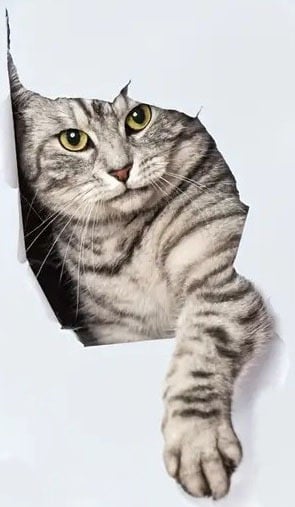 "New" Cute Cat Emoticons Wall Stickers - 3D Art Home Decor 19