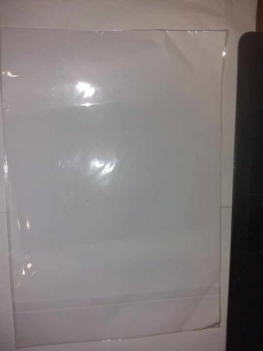"New" Gray Cat 3D Visual Effect Toilet Sticker 19