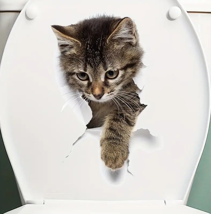 "New" Gray Cat 3D Visual Effect Toilet Sticker 19