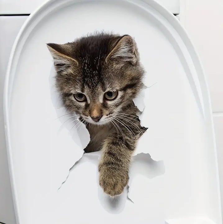 "New" Gray Cat 3D Visual Effect Toilet Sticker 19