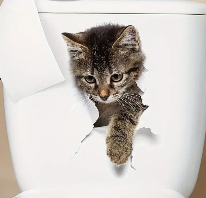 "New" Gray Cat 3D Visual Effect Toilet Sticker 19