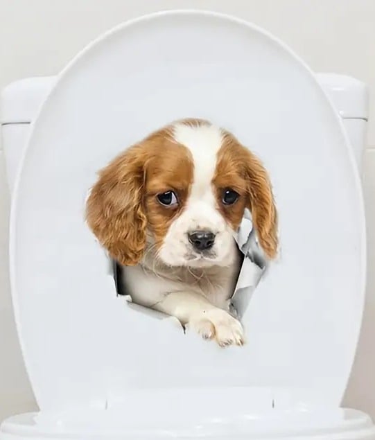 "New" Cute Pet Puppy Toilet/Refrigerator Sticker 19