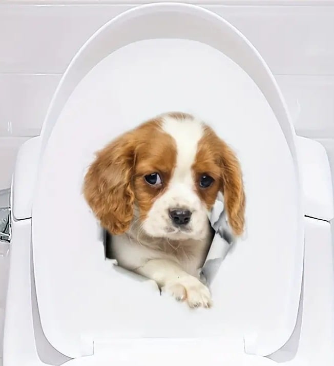 "New" Cute Pet Puppy Toilet/Refrigerator Sticker 19