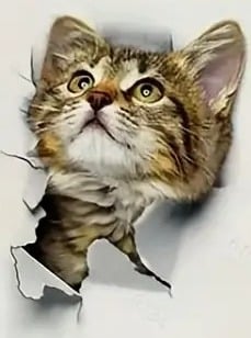 "New" Cute 3D Hole Cat Pattern Toilet Lid Decal 19