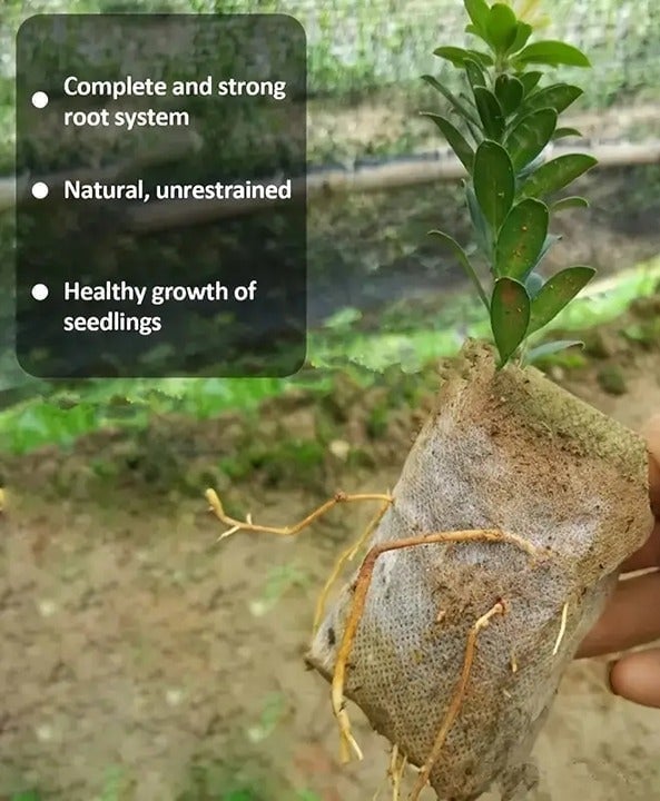 "New" (100 Pcs) Biodegradable Garden Seedling Bags 20