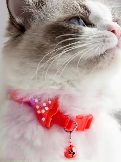 "New" Charming Polka Dot Bowtie Pet Collar with Bell 13