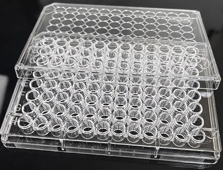 "New" (2 Pack) 96-Compartment Clear Medical Type Plastic Storage Box                                                                                  19