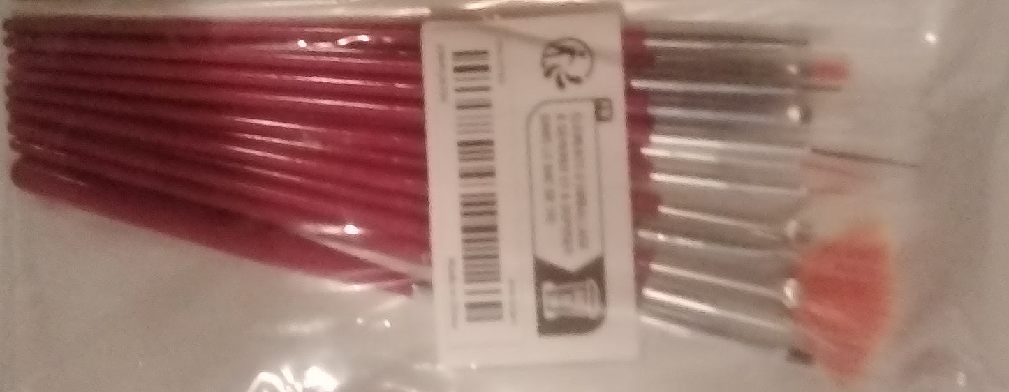 "New" Red 15 Piece Art Brush Set                                                                                                 13