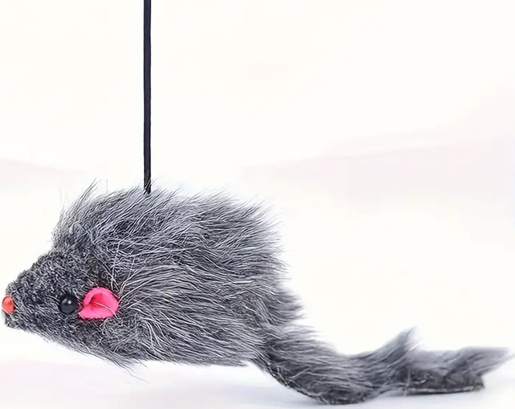 "New" Adjustable Hanging Cat Toy                                                                                                        20