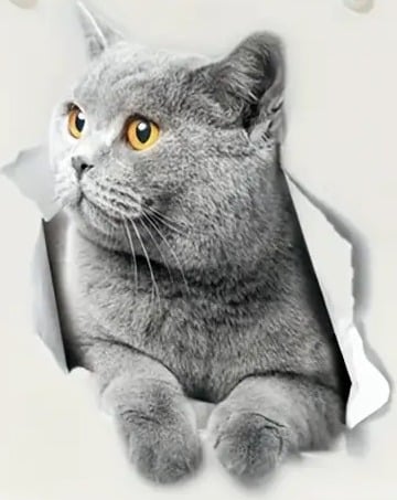 "New" Adorable Grey Cartoon Kitten Pet Series Decoration Set                  19