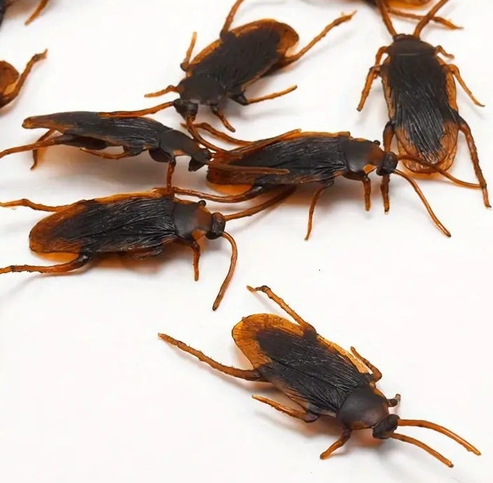 "New" Set of 5 Realistic Fake Cockroaches for Pranks and Jokes                16