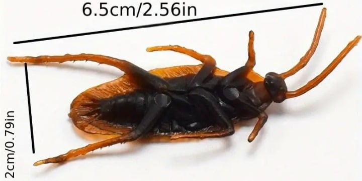 "New" Set of 5 Realistic Fake Cockroaches for Pranks and Jokes                16