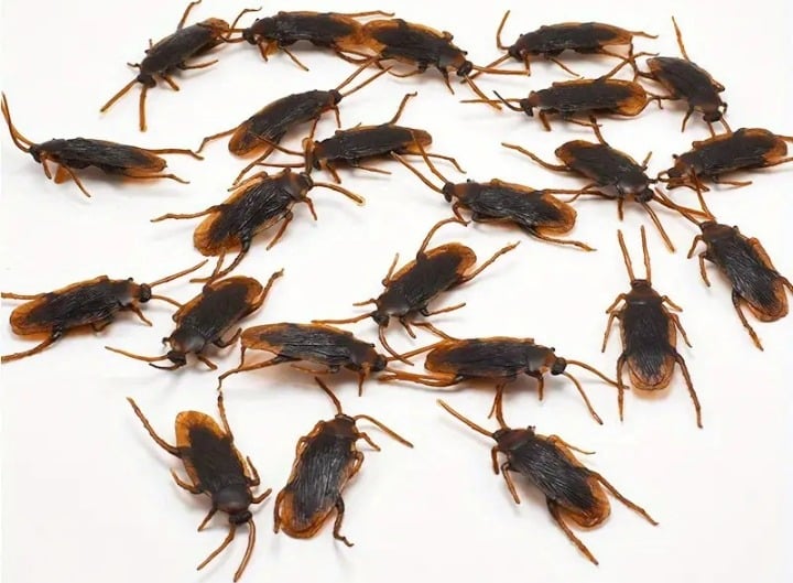 "New" Set of 5 Realistic Fake Cockroaches for Pranks and Jokes                16