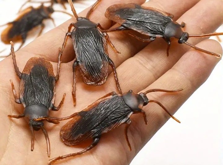 "New" Set of 5 Realistic Fake Cockroaches for Pranks and Jokes                16