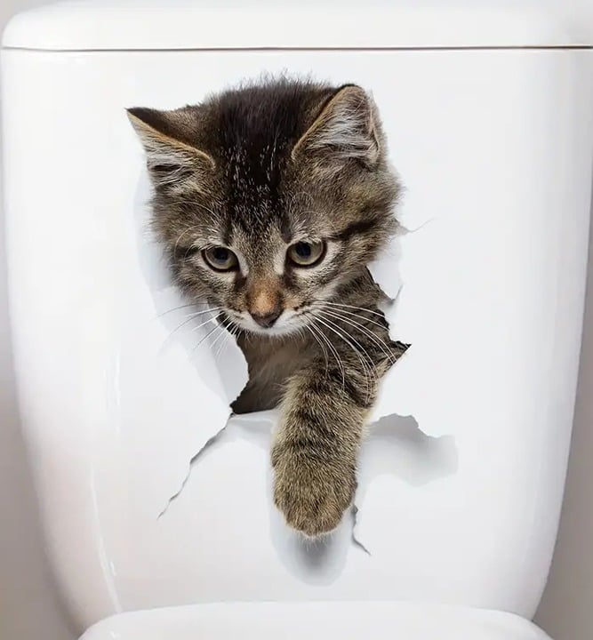 "New" Gray Cat 3D Visual Effect Toilet Sticker                                19