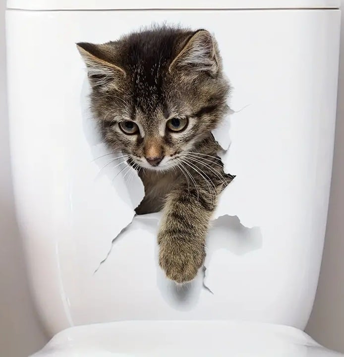 "New" Gray Cat 3D Visual Effect Toilet Sticker                                19