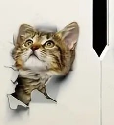 "New" Cute 3D Hole Cat Pattern Toilet Lid Decal                               19