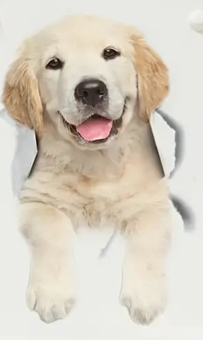 "New" Cartoon Ripped Pet Puppy Sticker                                       19