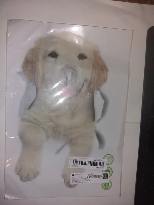 "New" Cartoon Ripped Pet Puppy Sticker                                       19